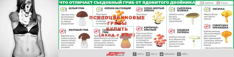 Псилоцибиновые грибы прущие грибы  Кирс 